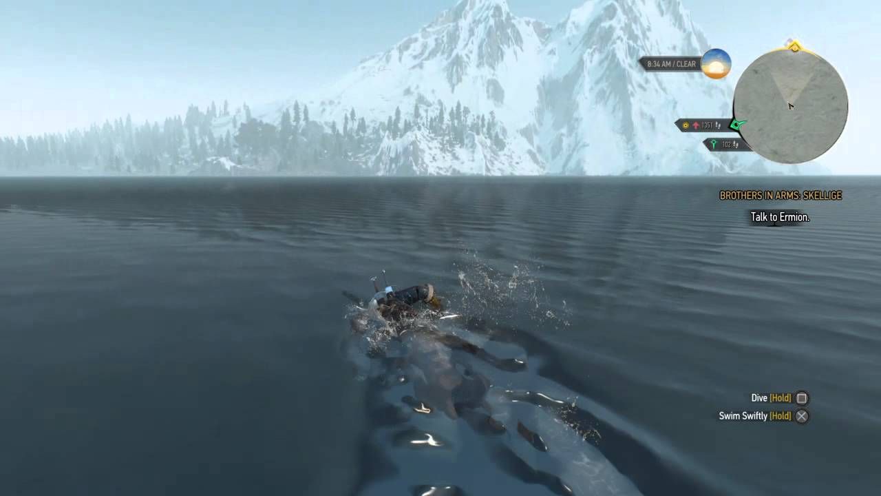 Skellige Treasure Witcher 3
