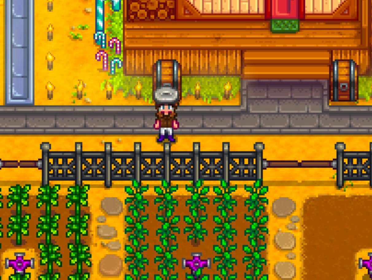 the trashcan lid hat in stardew valley