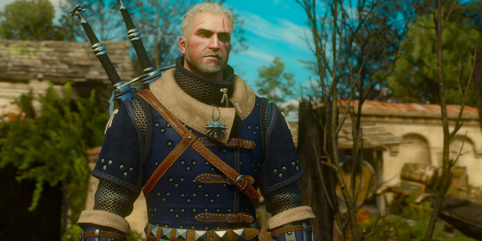 Witcher 3 School Cat
