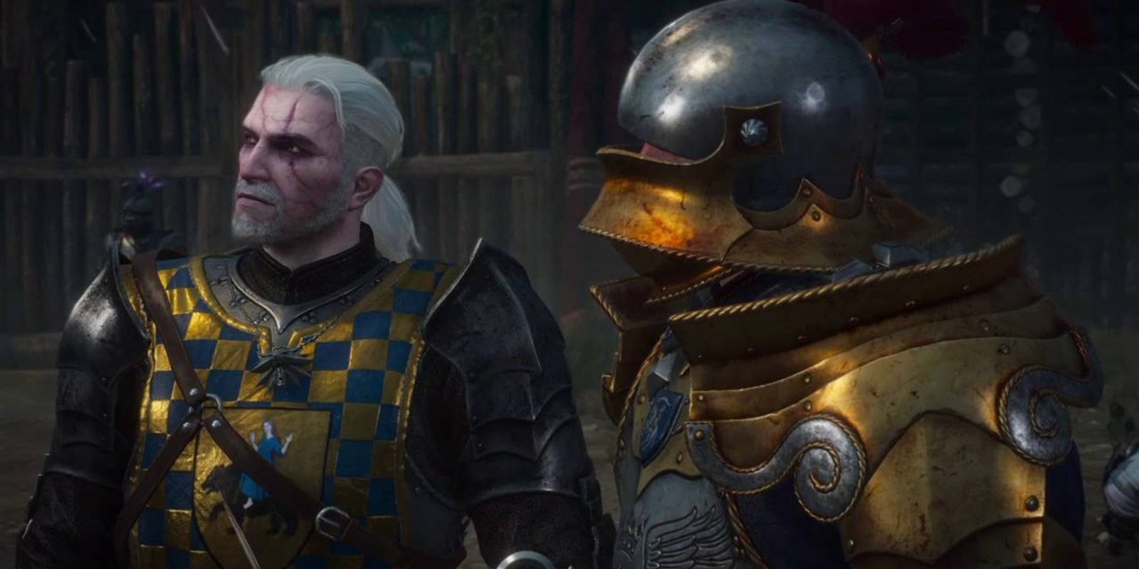 Witcher Order Of Witchers