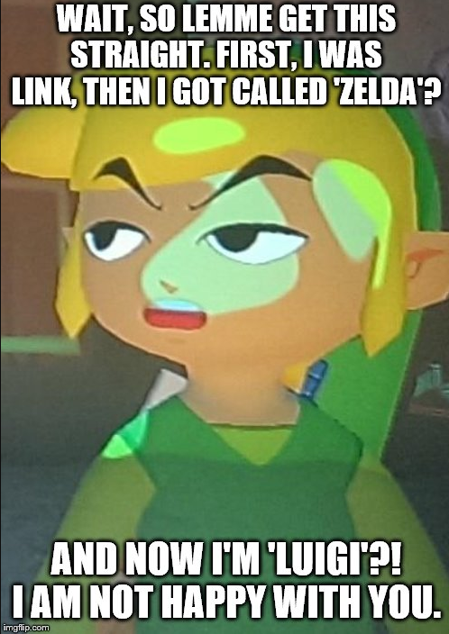 10 Most Hilarious Memes About People Mistaking Link For Zelda