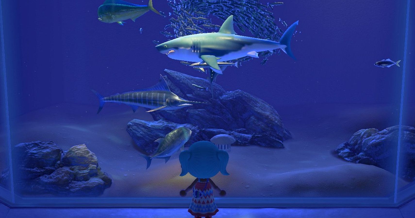 Animal Crossing: New Horizons - These Bugs & Fish Will ...