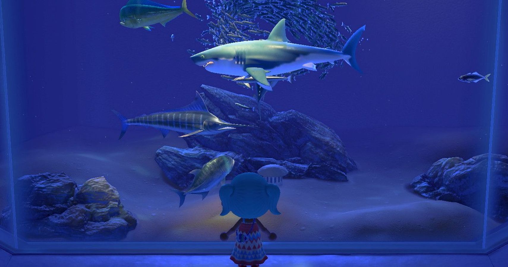 Get Animal Crossing New Horizons Fish Pictures - FISH WORLD