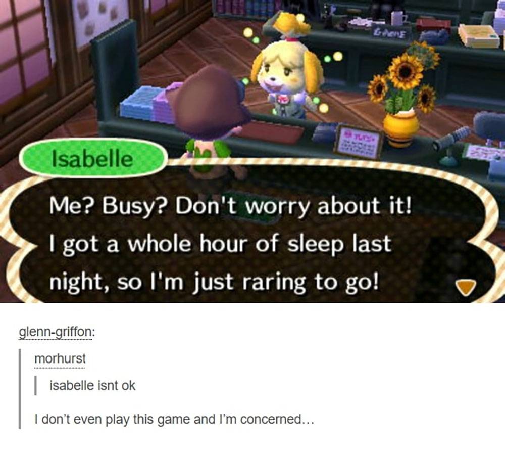 Animal Crossing 10 Most Hilarious Isabelle Memes