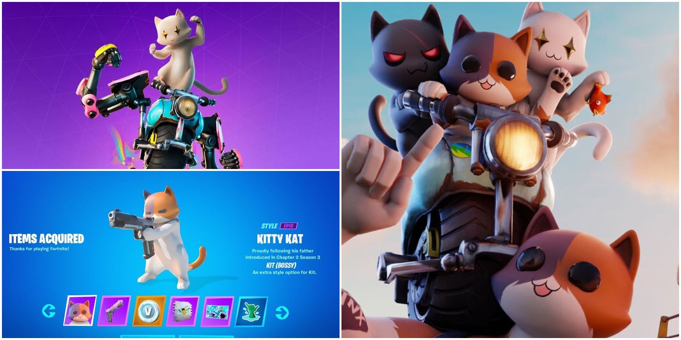 The Best Cat Skins In Fortnite