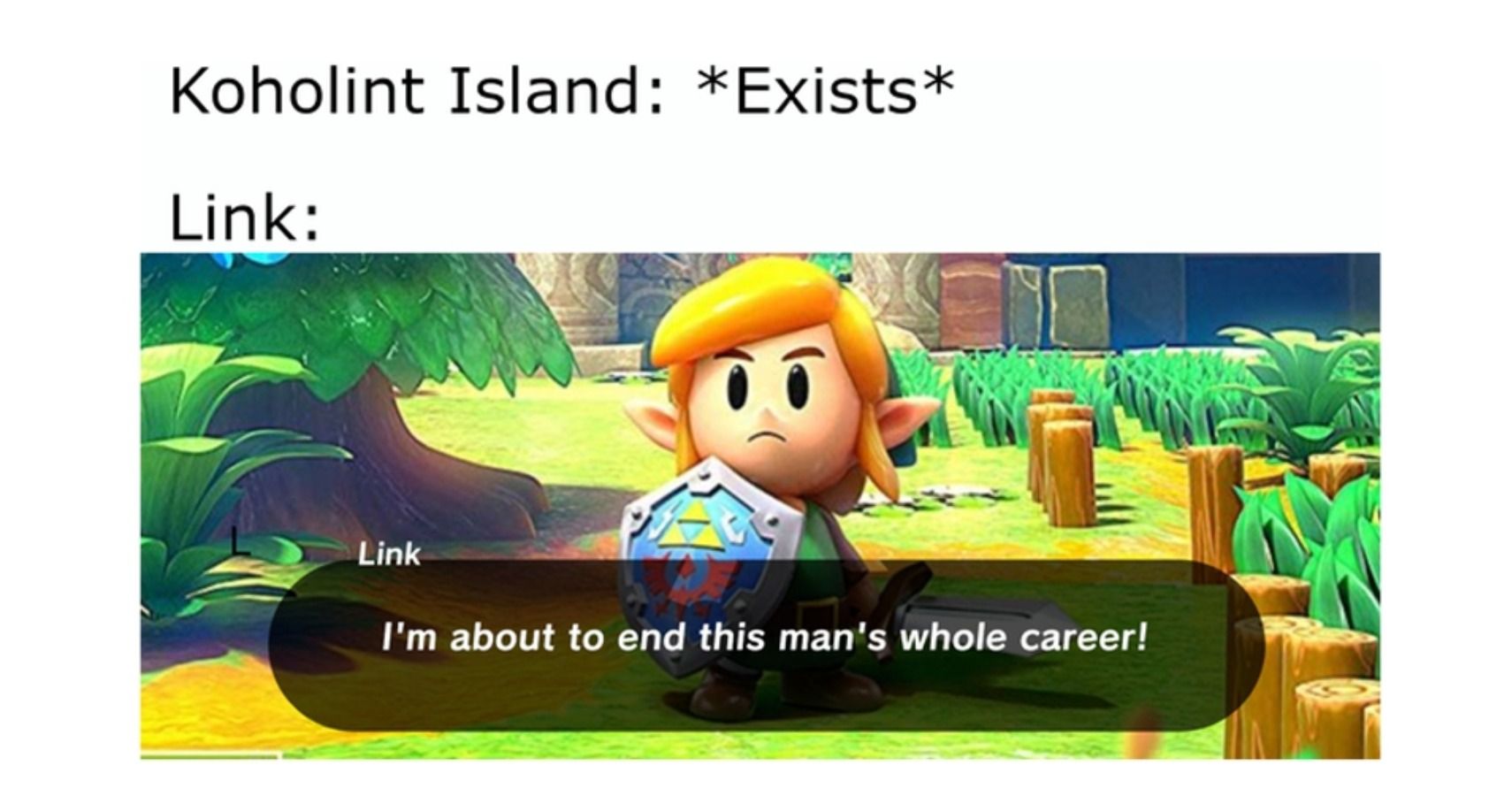 Link's Advice - Gaming  Legend of zelda memes, Zelda funny, Zelda