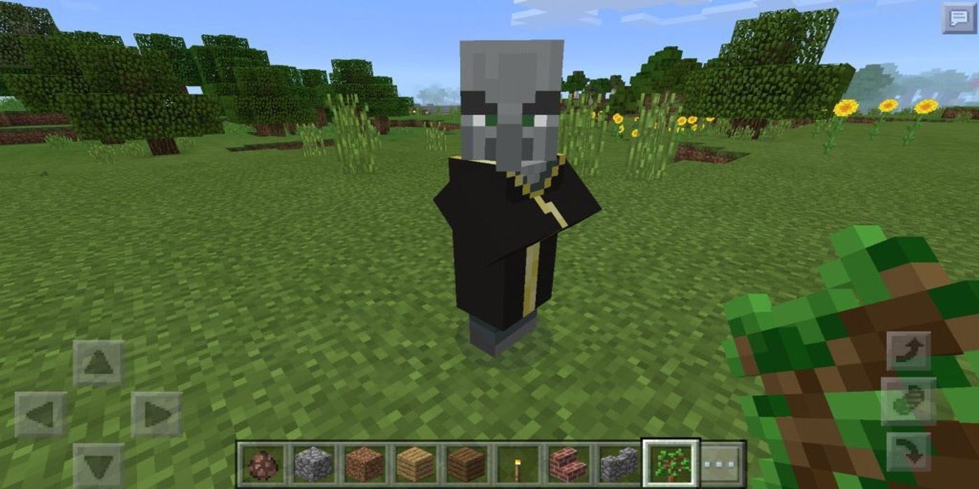 Minecraft: An image of an evoker in a field