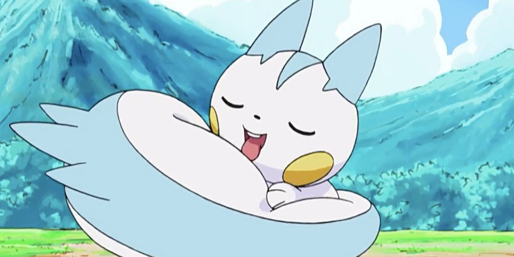 Pachirisu curled up licking its tail