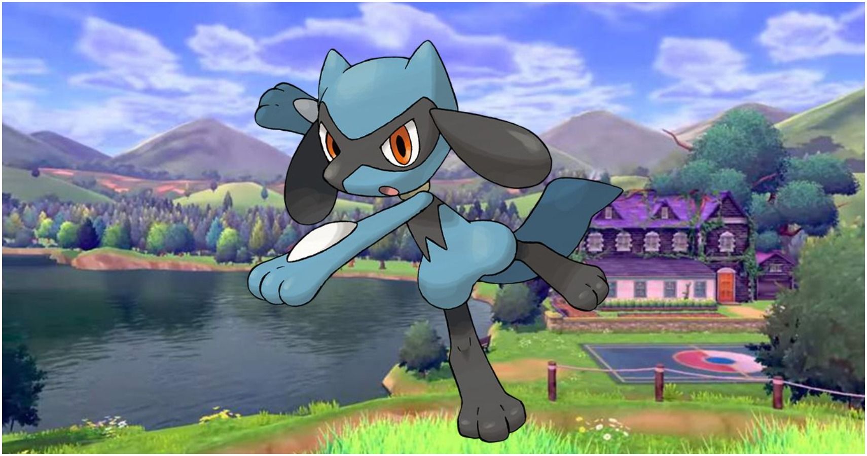 Pokemon Riolu Evolve