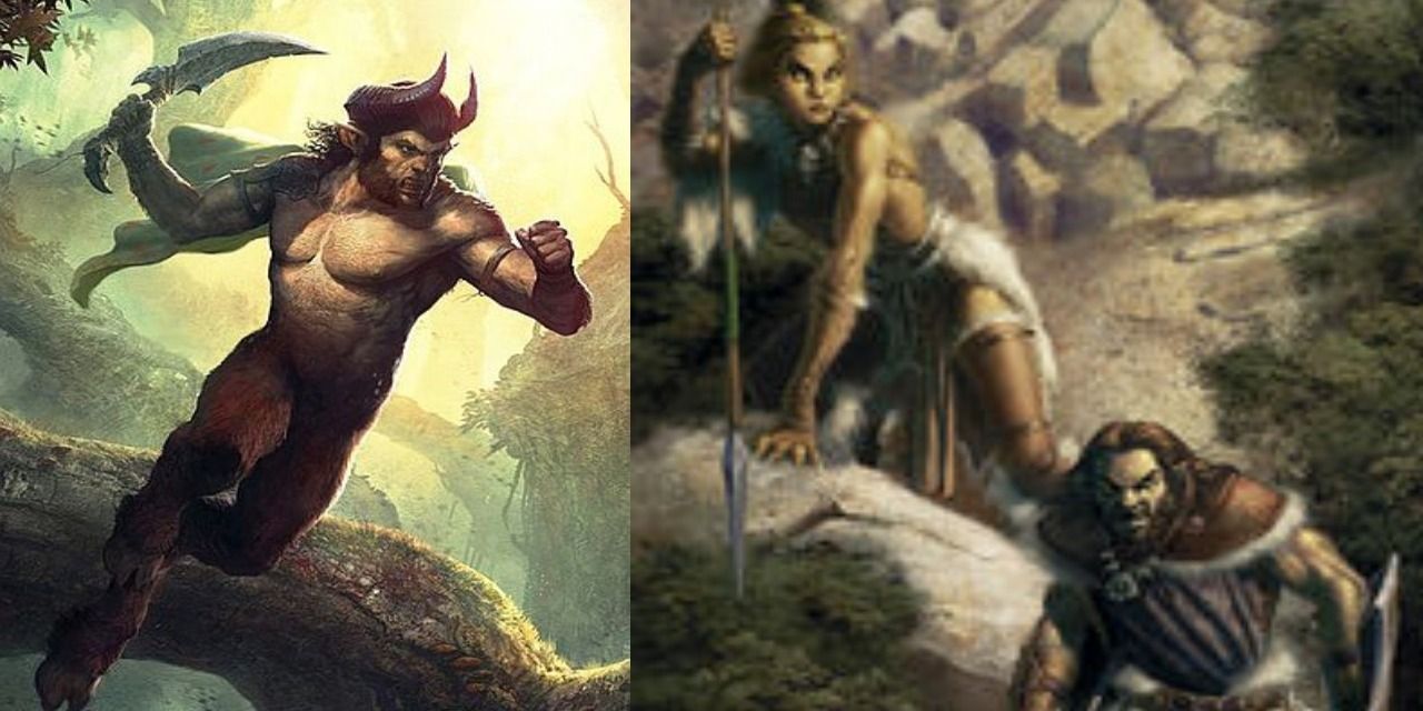Dnd shapeshifting races