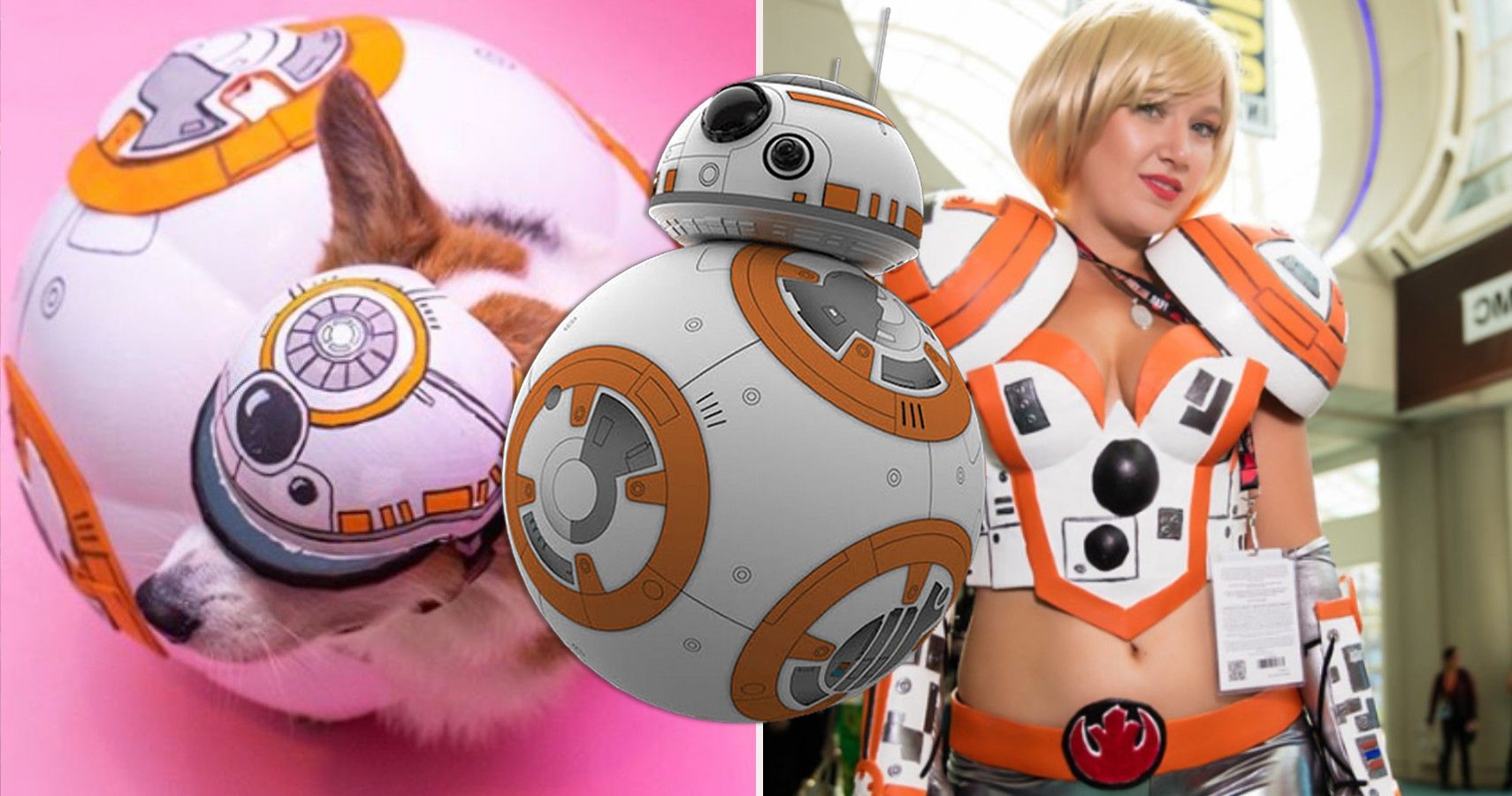 Star Wars 10 BB 8 Cosplay You Need To See To Believe