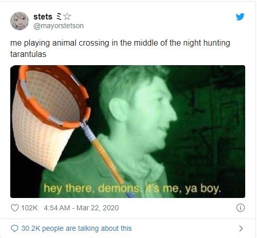 Animal Crossing: New Horizon: 10 Hilarious Memes Only True Fans Understand