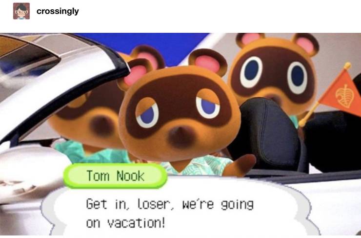 Animal Crossing New Horizon 15 Hilarious Tom Nook Memes That Are