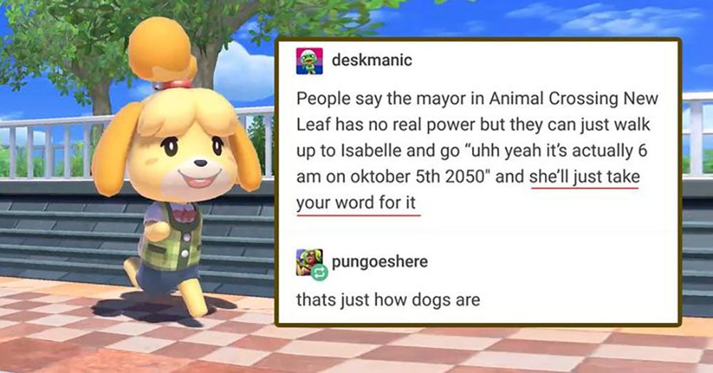 animal crossing new leaf memes