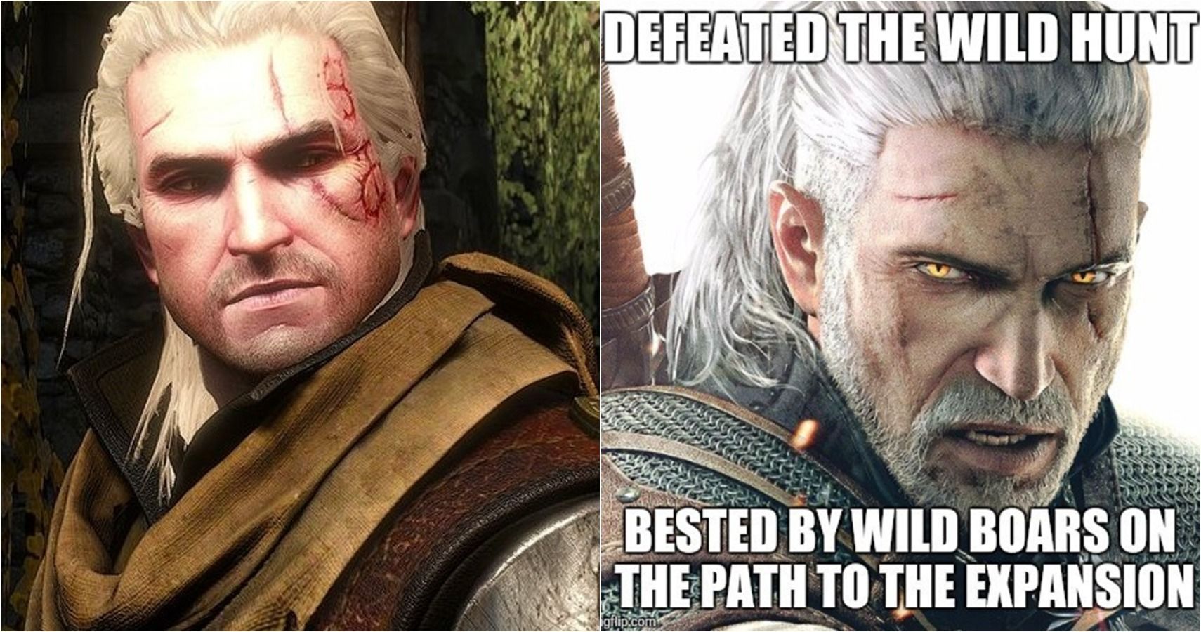 10 Witcher Memes That Prove The Games Make No Sense