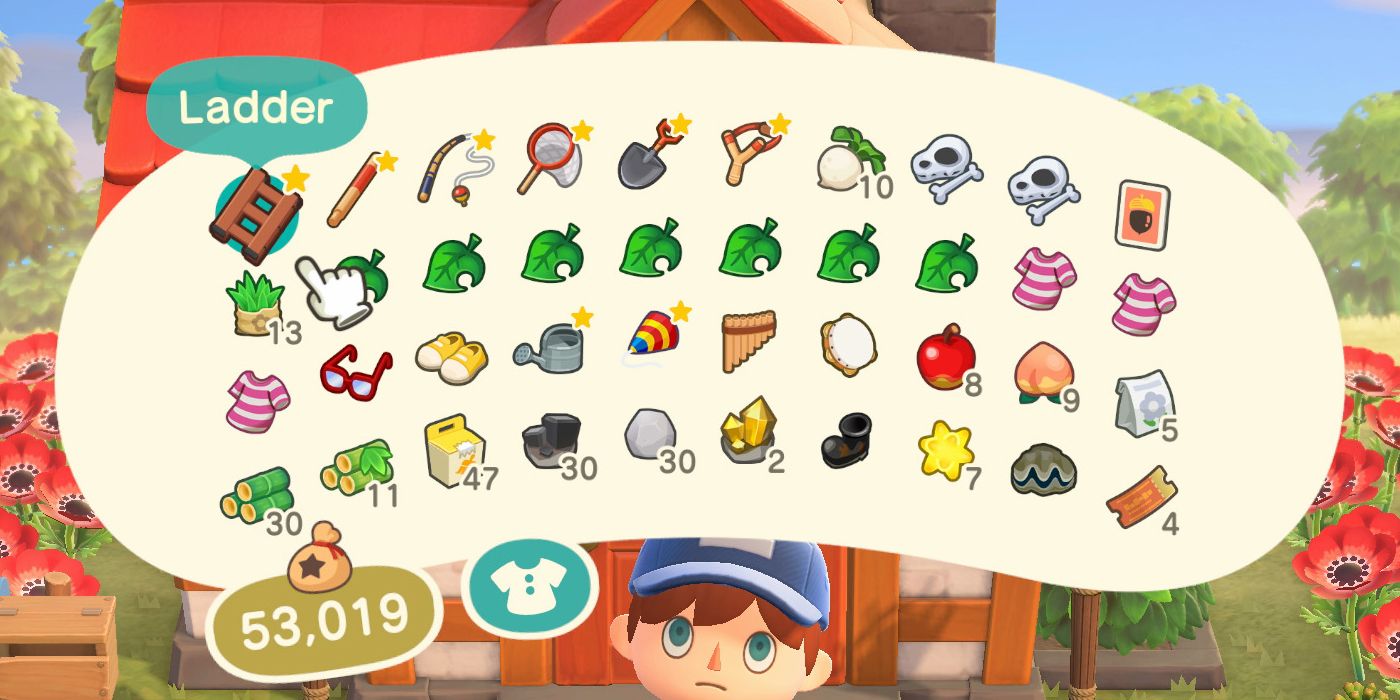 Animal Crossing New Horizons: 10 Beginner Tips For Animal Crossing ...