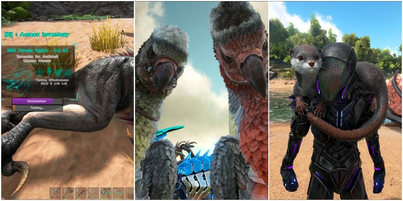 Top 16 Creatures To Tame First In Ark: Survival Evolved