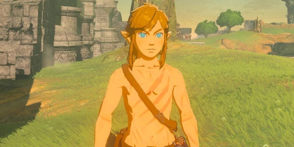 battle-scarred link mod for breath of the wild