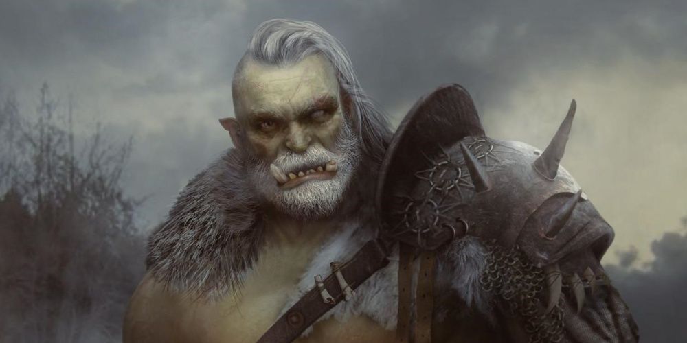 Dungeons & Dragons: 13 Best Playable Races Ranked By Racial Benefits