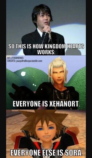 Hilarious Kingdom Hearts Memes Only Fans Will Understand Because The Game Makes No Sense 6924