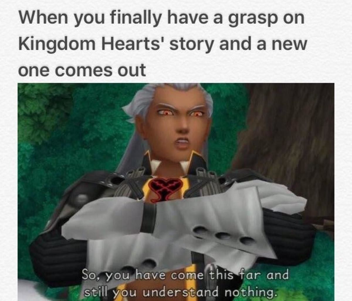 Hilarious Kingdom Hearts Memes Only Fans Will Understand Because The Game Makes No Sense 9369