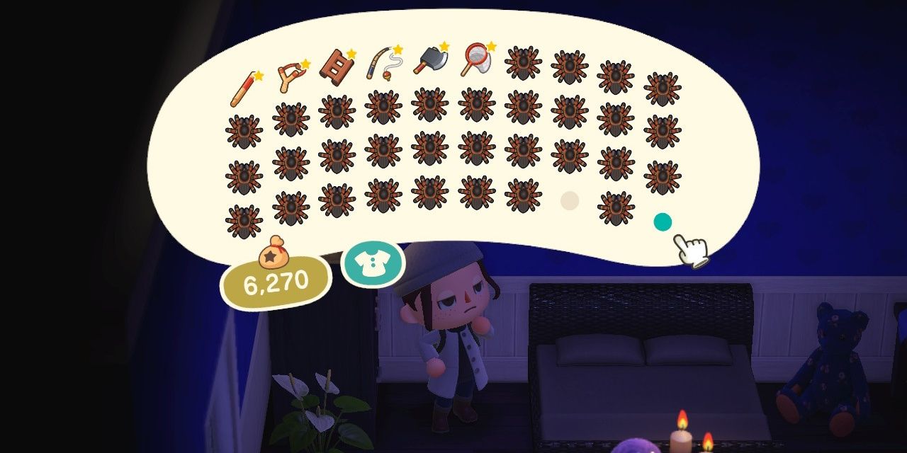 Animal Crossing: New Horizons: The 8 Best Things You Can Find On Mystery  Islands (& The 7 Worst)