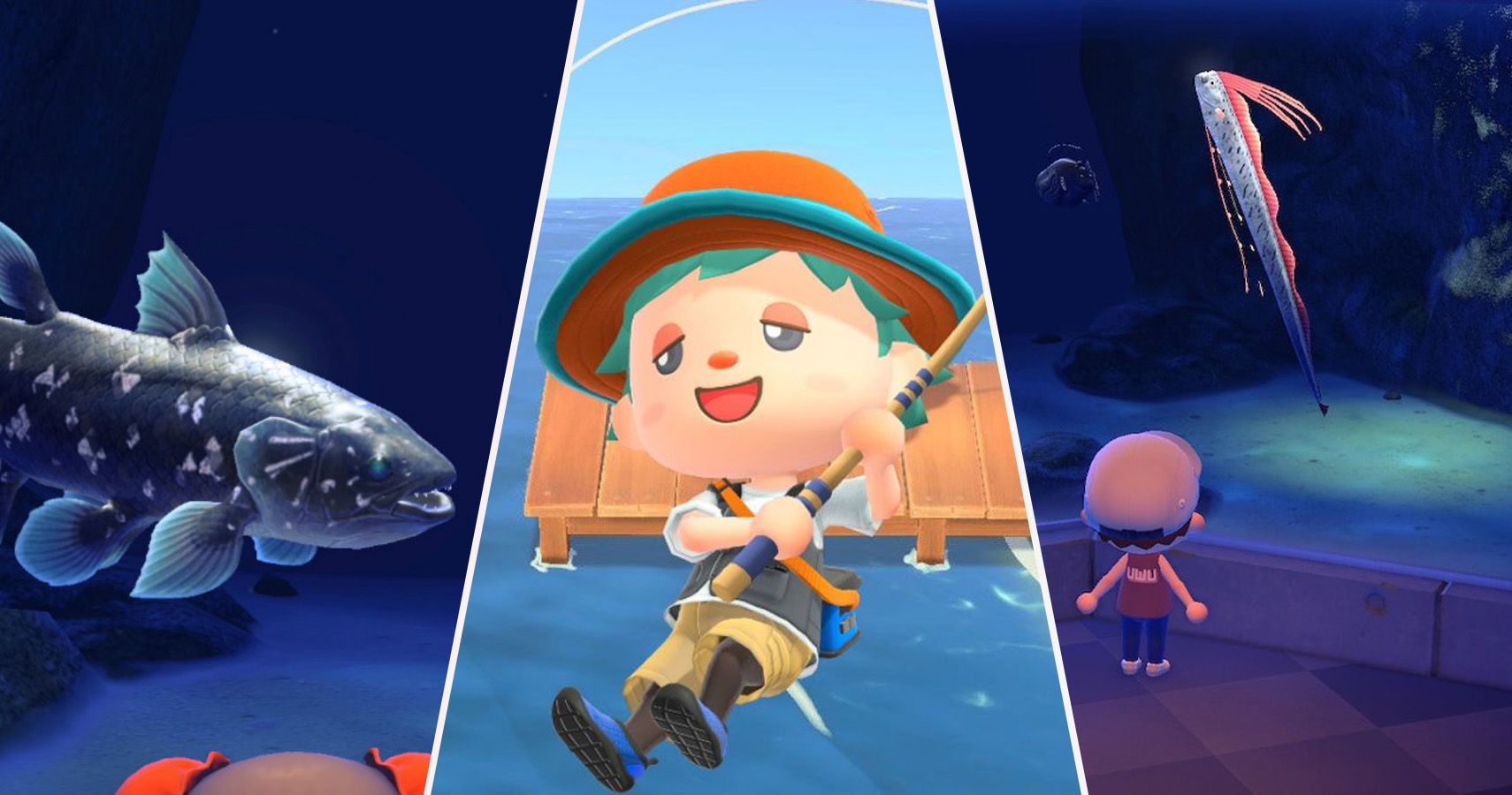 Animal Crossing: The Rarest Fish Of All Time