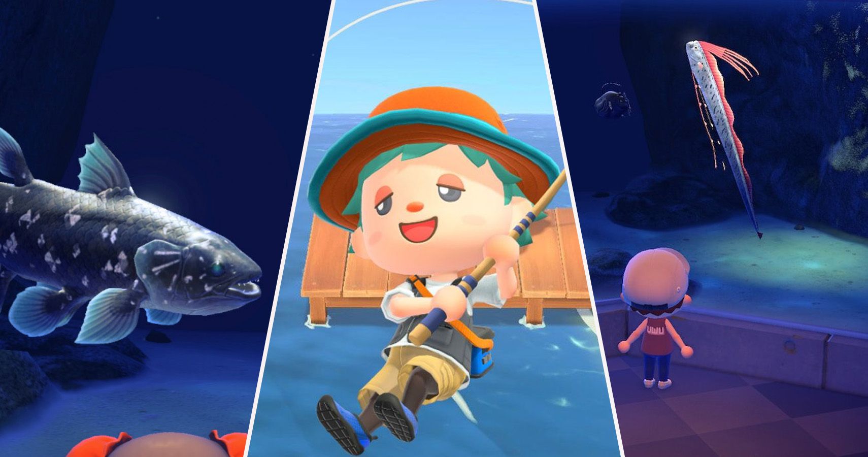 Animal Crossing: 15 Hardest Fish to Catch (& How To Catch Them)