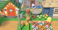  Animal Crossing 