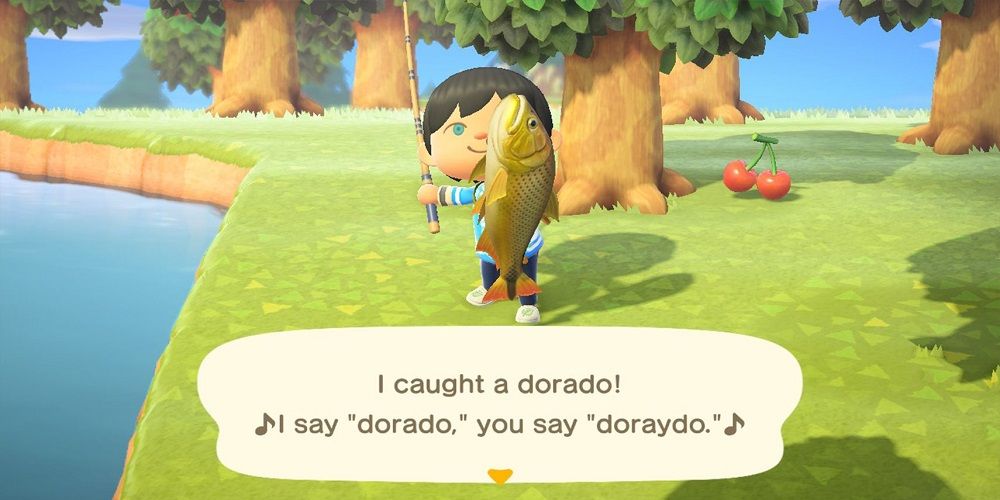 Animal Crossing New Horizons Dorado Catch