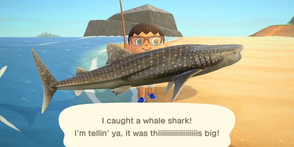 Animal Crossing Whale Shark