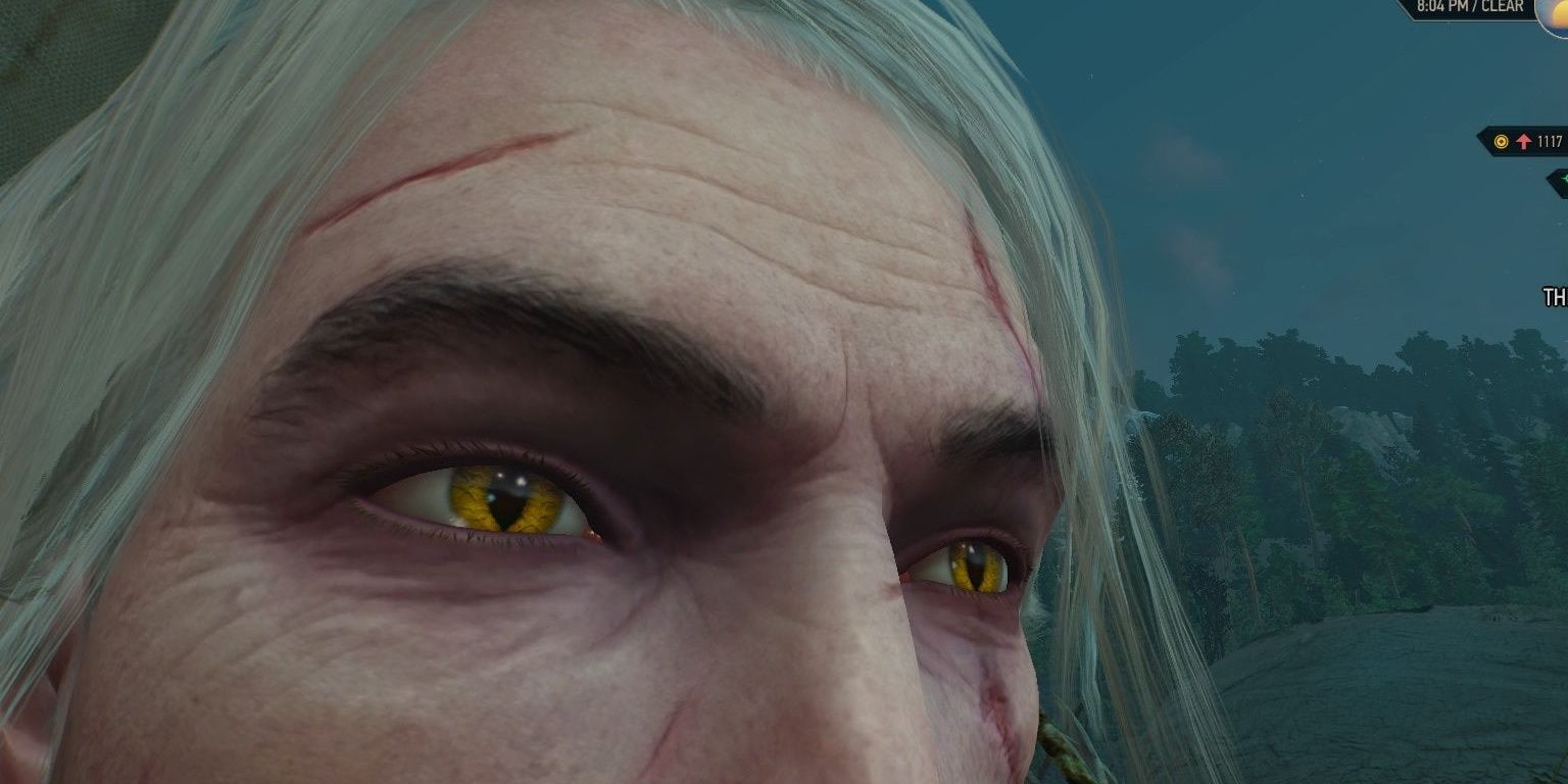 Cat eyes witcher 3