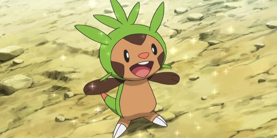 chespin in the pokemon anime