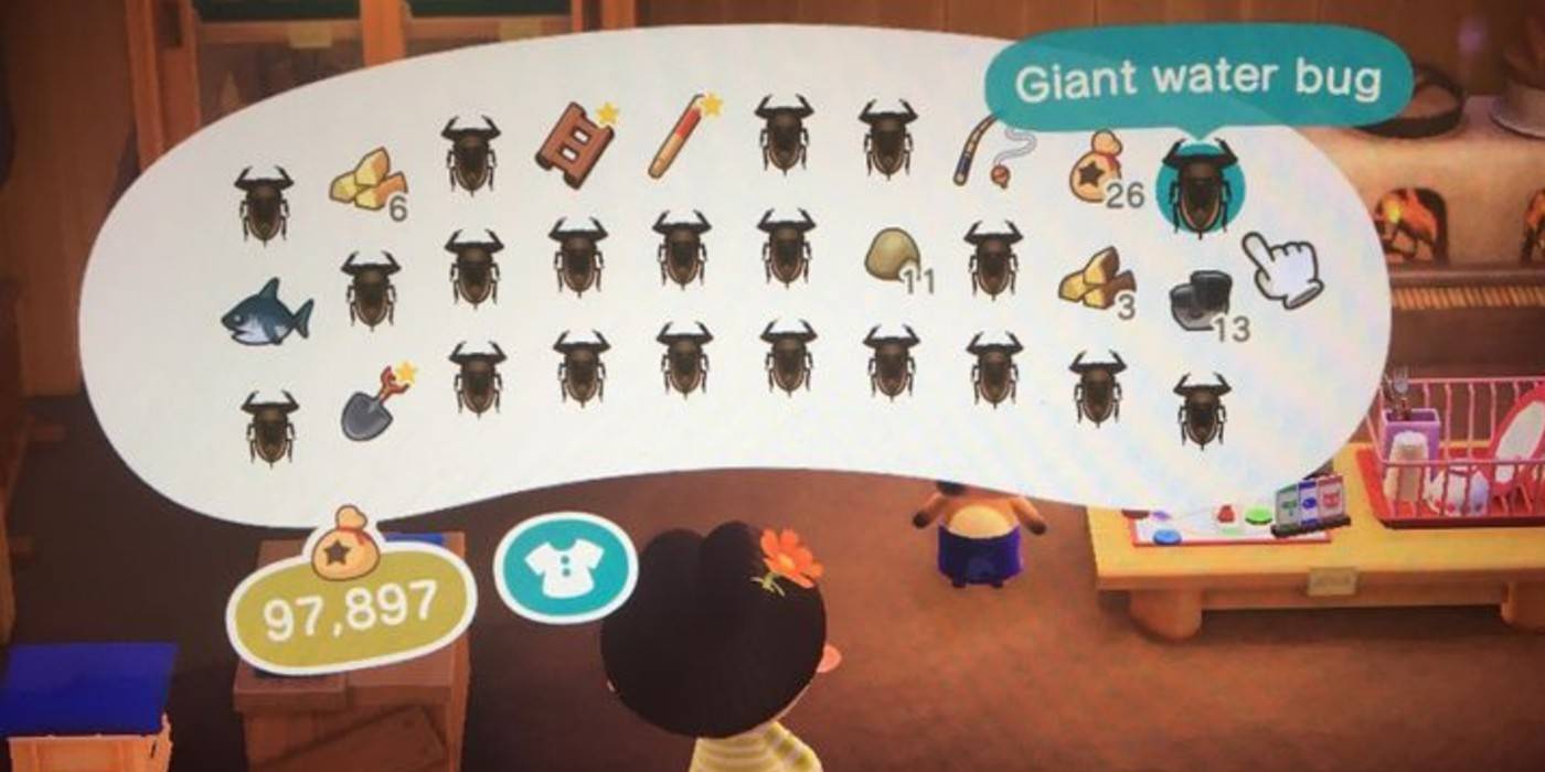Giant Water Bug Animal Crossing Animal Crossing New Horizons Pascal Guide Mermaid Set Item