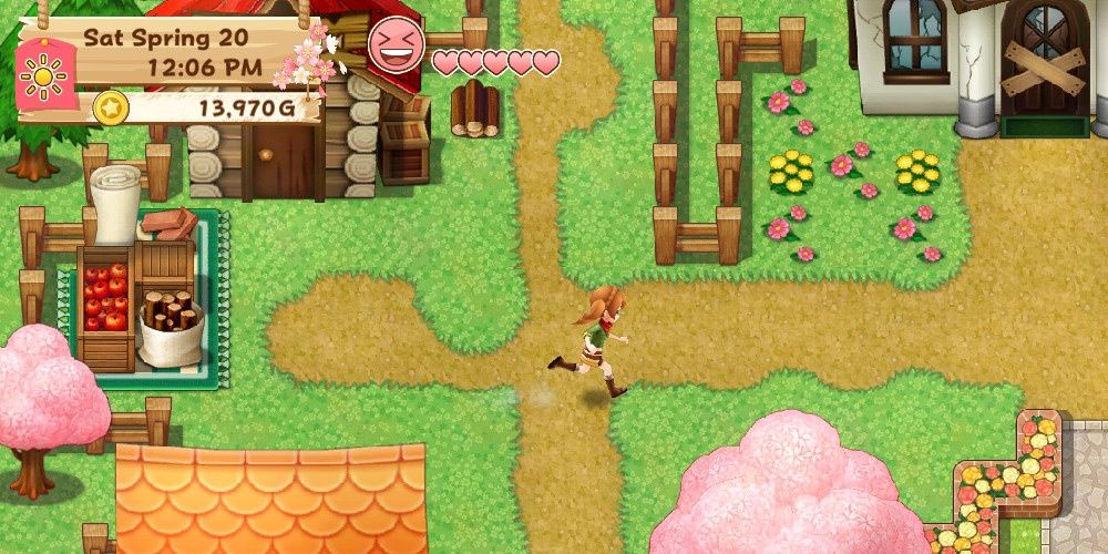 Close up of Harvest Moon protagonist running along pathway