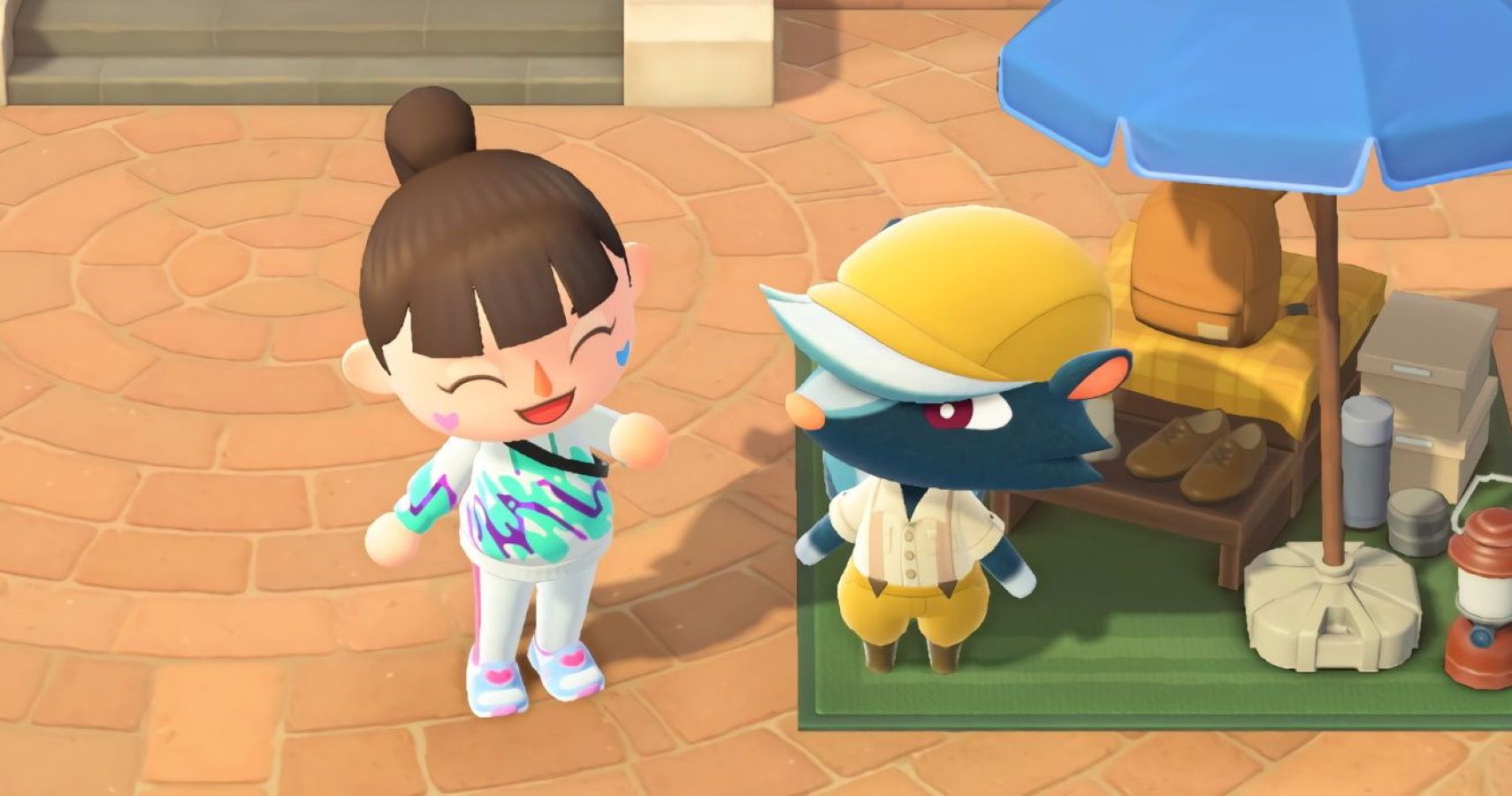 Animal Crossing: New Horizons - How To Find Kicks | Aionsigs.com