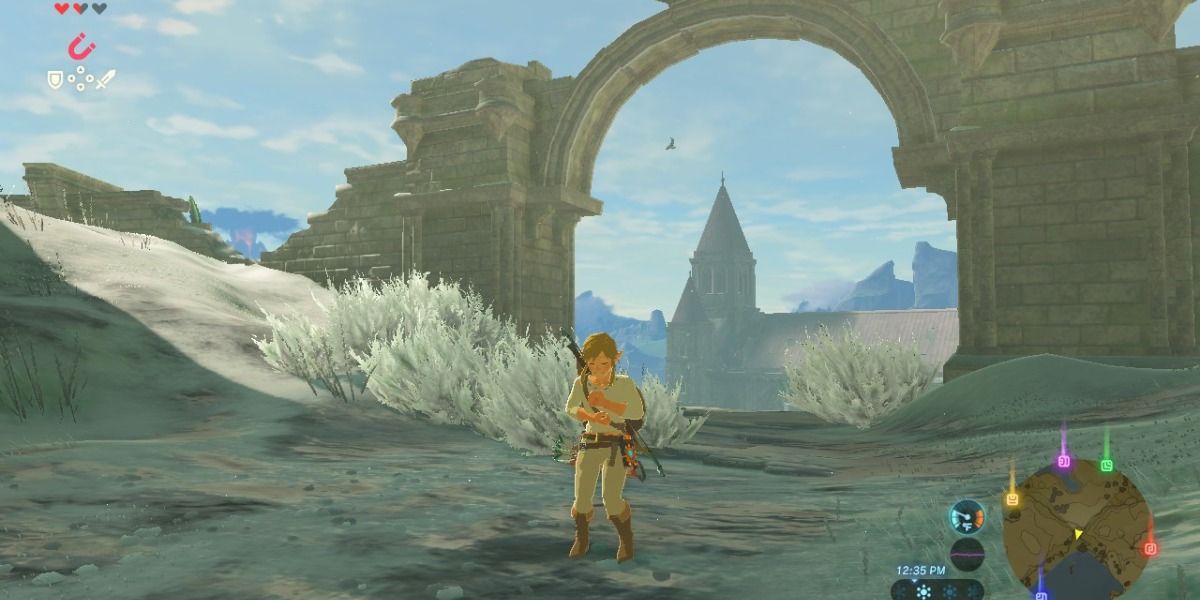 can you max out both stamina and hearts in zelda breath of the wild