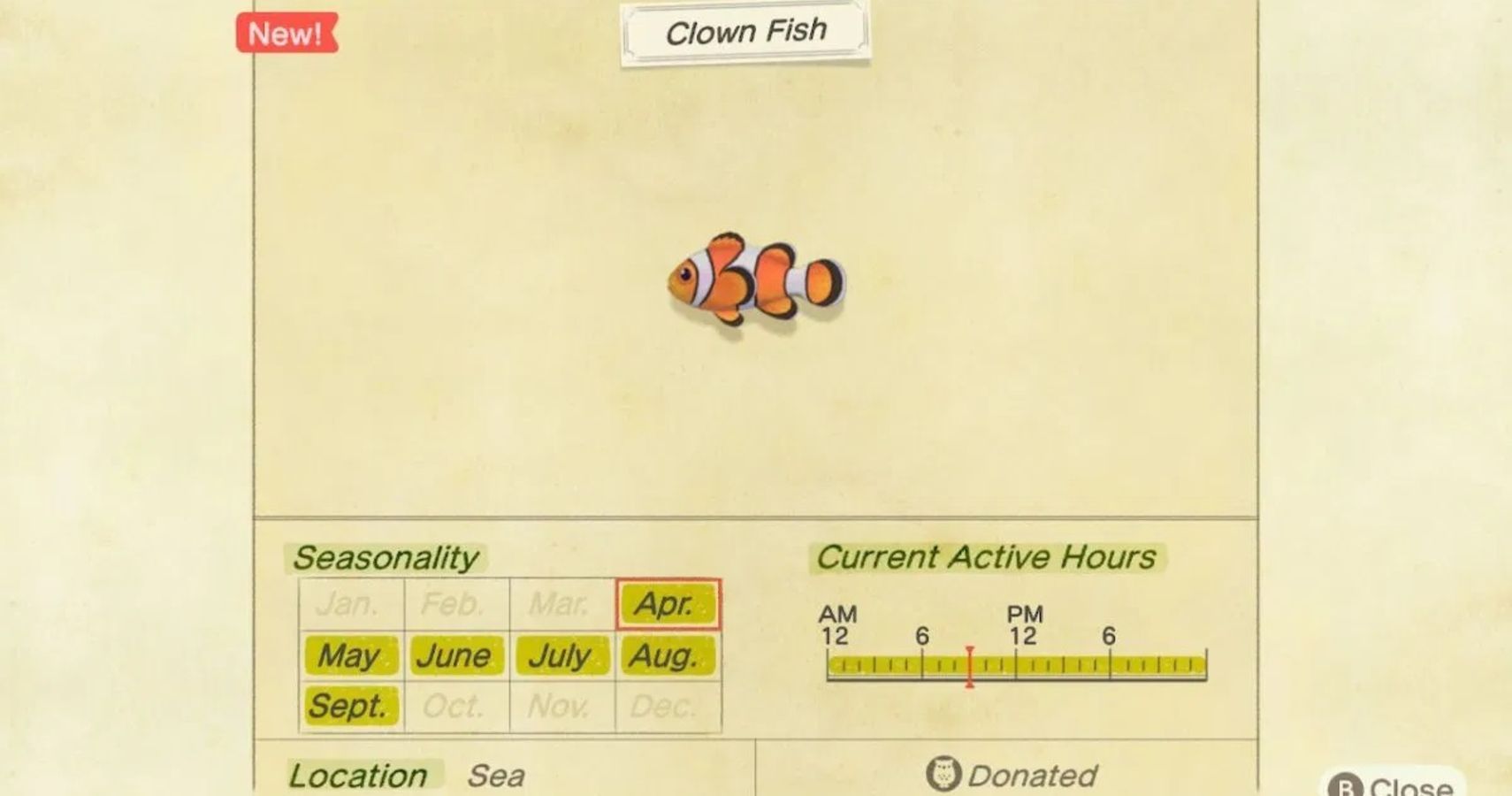 Animal Crossing New Horizons  How To Catch A Clown Fish