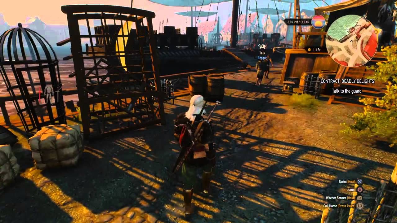 Novigrad Docks