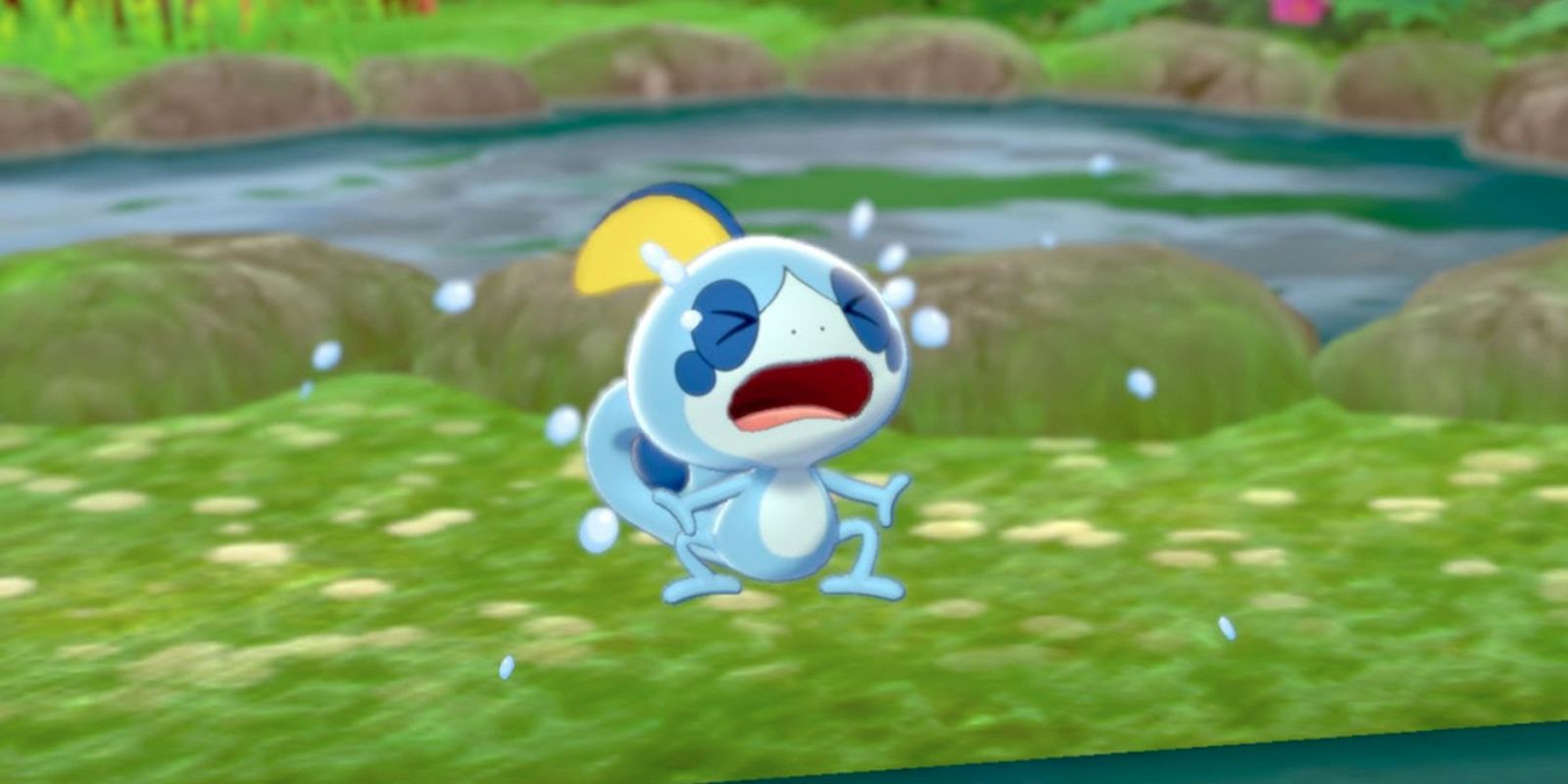 Sobble crying in front of a lake