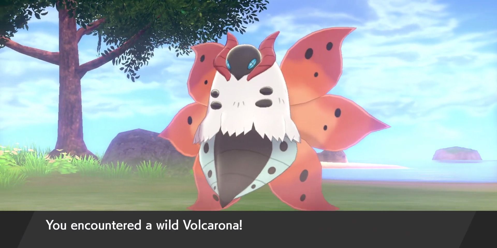 Pokemon Sword and Shield Wild Volcarona Encounter