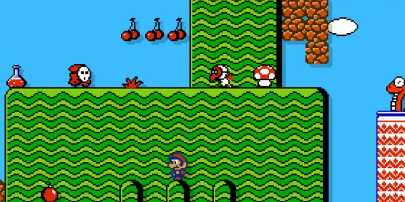 Mario on small platform with enemies and mushroom above in Super Mario Bros 2
