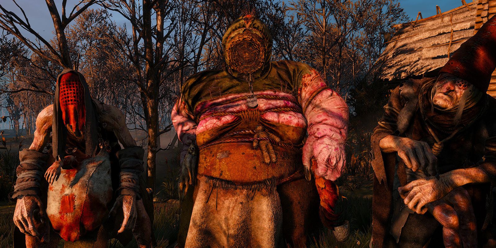 the crones in the witcher 3