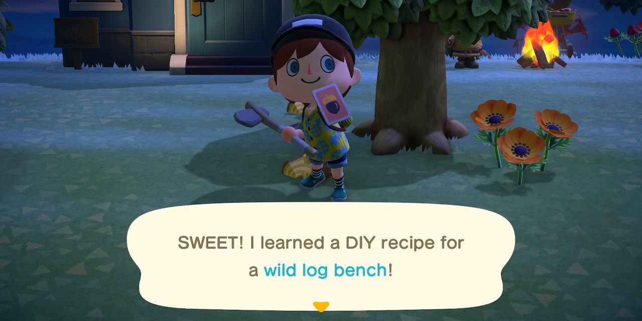 a villager with a diy recipe