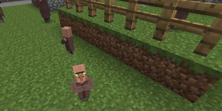 How Long For A Baby Villager To Grow