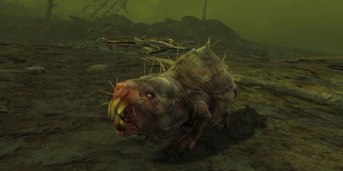 Close-up of a mole in Fallout 4 in the middle of a green radioactive haze.
