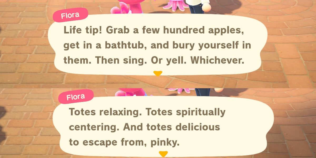 Animal Crossing New Horizons 15 Hilarious Quotes You Might Have Missed