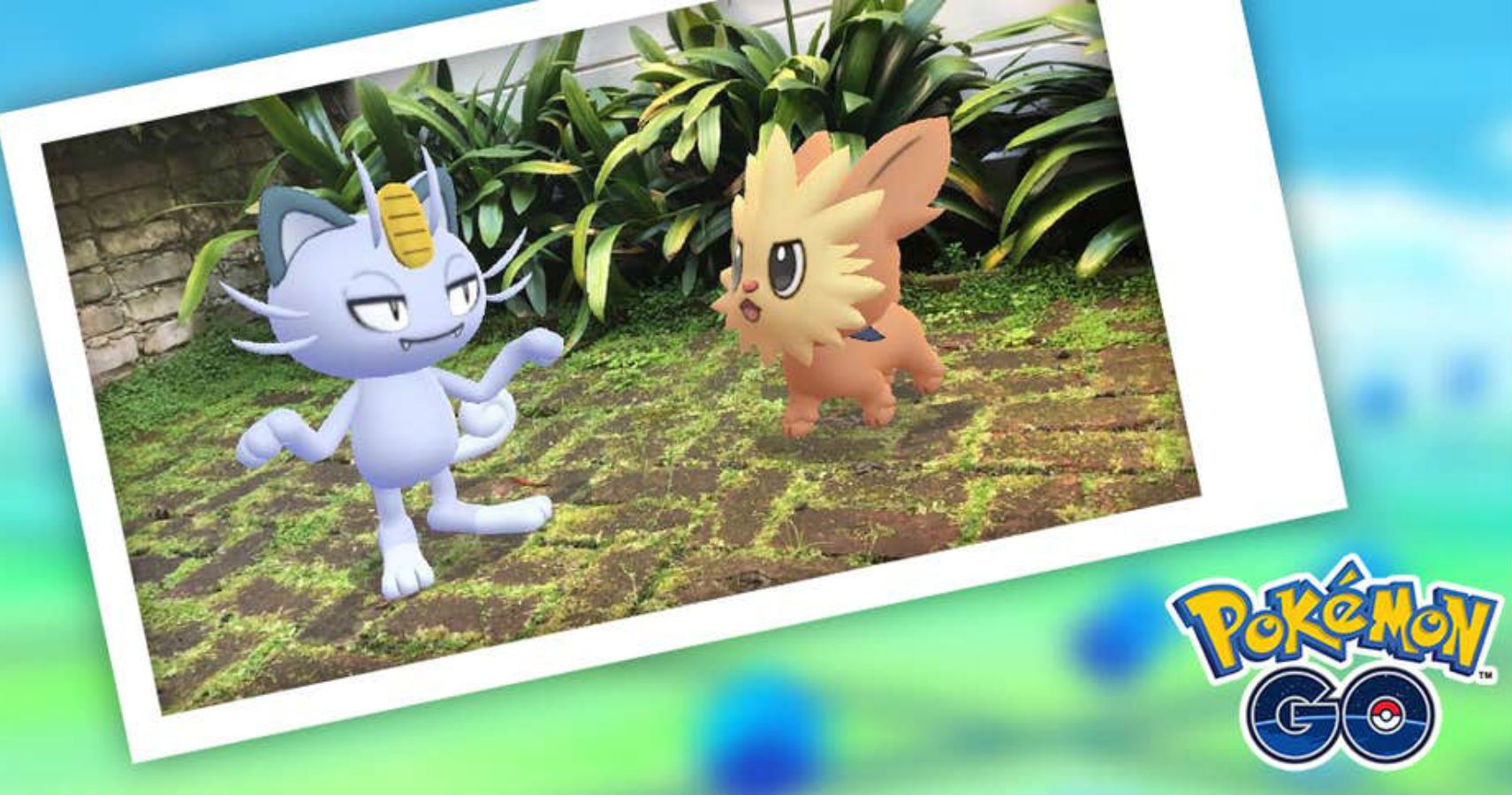 Pokémon GO Buddy Up 2020: All Quests, Rewards, And Spawns