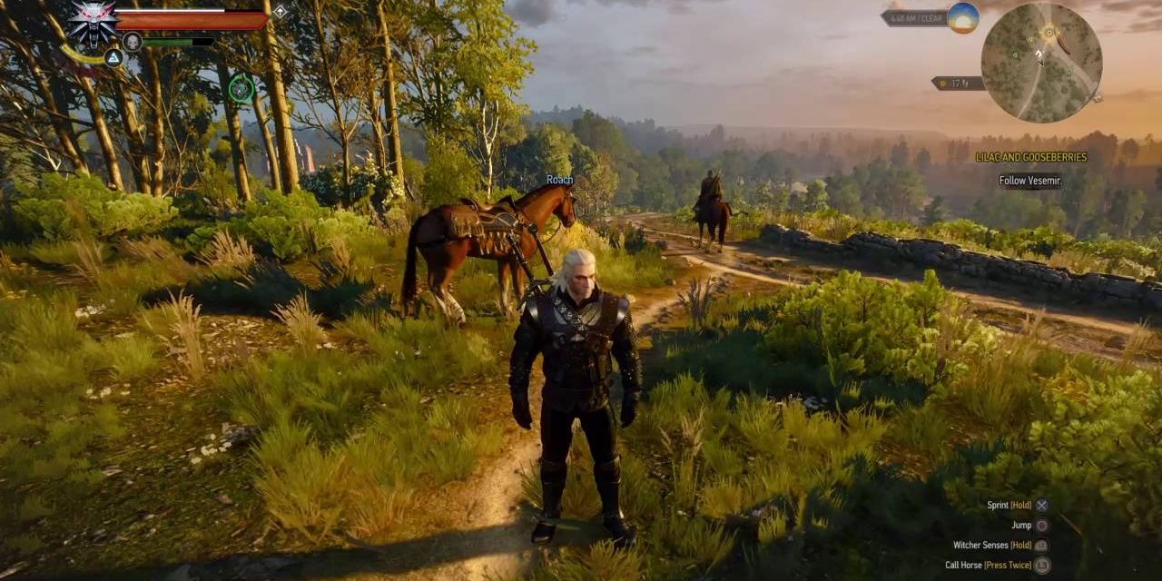 geralt at a crossroads in the white orchard