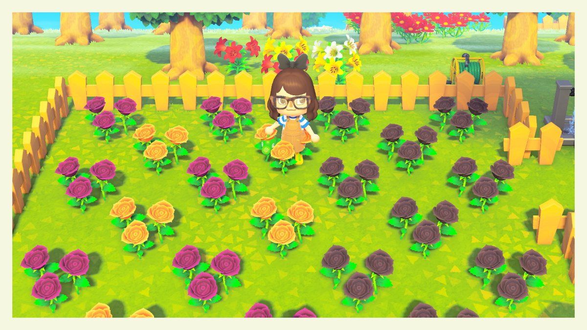 Animal Crossing The 5 Hardest Flowers to Crossbreed (& The 5 Easiest)